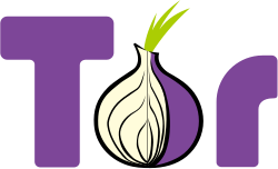 Tor-Logo